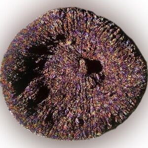 Multicolor Hand Knit Beret | New